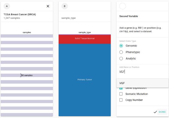 Choose a Gene to Analyze